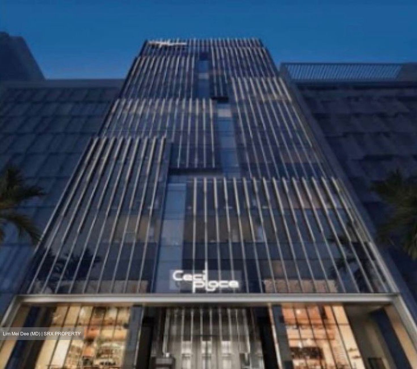 Cecil Suites (D1), Office #549678671